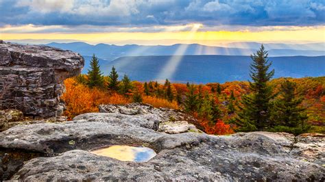 Last Lingering Rays At Sunrise Dolly Sods Wilderness West Virginia