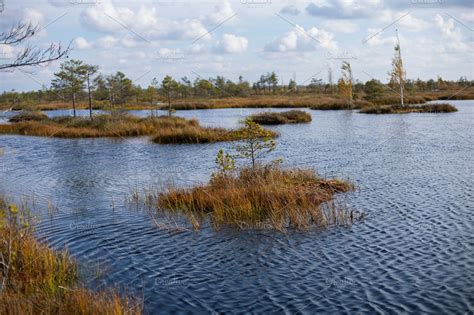 belarusian swamp lake  yelnya belarus  autumn ecosystems