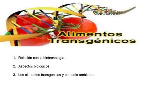 Alimentos Transgénicos Y El Ambiente Ppt