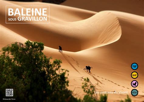 Visuels Bsg Baleine Sous Gravillon