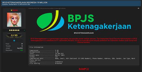 Kembali Beraksi Bjorka Bocorkan 19 Juta Data Yang Diduga Milik BPJS