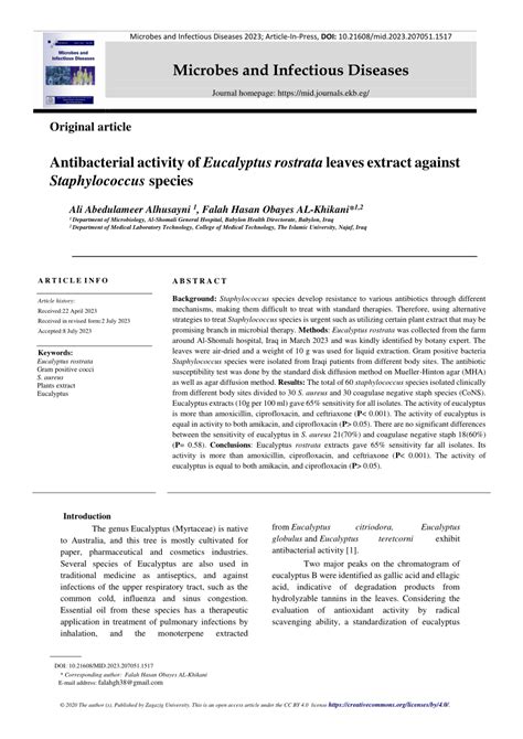 Pdf Antibacterial Activity Of Eucalyptus Rostrata Leaves Extract