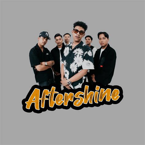 aftershine official
