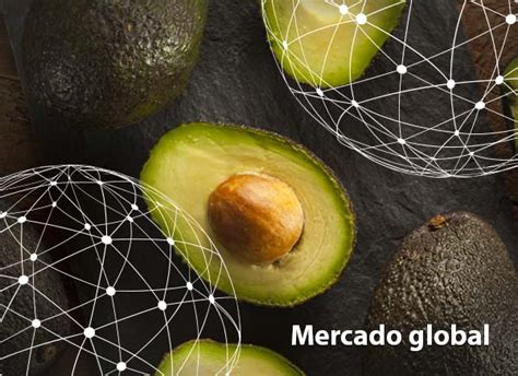 Resumen Del Mercado Global Del Aguacate