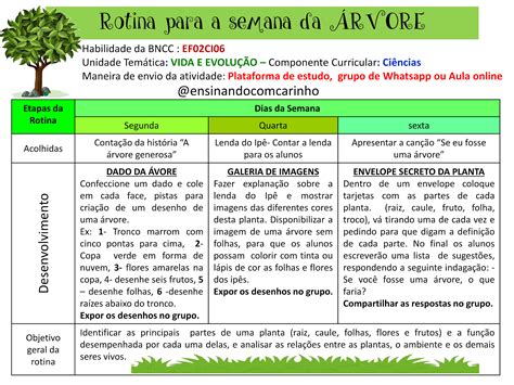 Rotina Para Trabalhar O Dia Da árvore De Acordo Com A Bncc