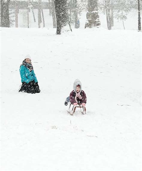 Best Baby and Toddler Snow Sleds (with Seatbelts!) - Mom Goes Camping