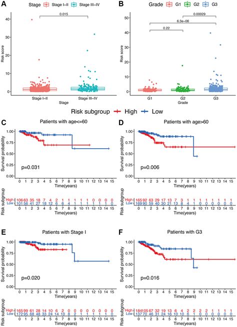 Identification And Validation Of Oxeiptosis Associated Lncrnas And