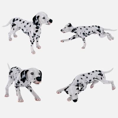 Dog Dalmatain Spotty Dog - 3D Model by cg-monster