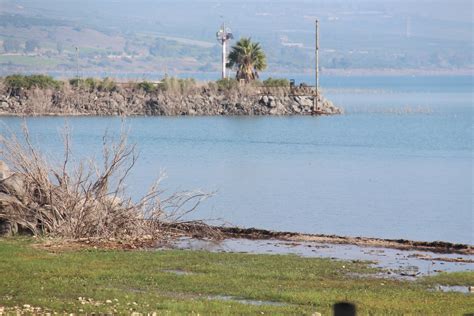 Panet مستوى بحيرة طبريا بعيد عن الخط العلوي صور وفيديو