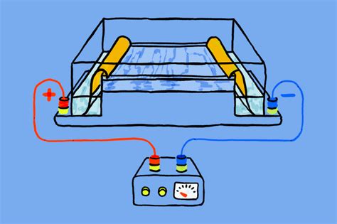 DNA Gel Electrophoresis Fundamentals