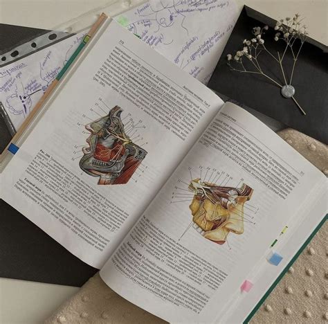 анатомия , мед, учебе на меде 🤎 | Book cover, Motivation, Books