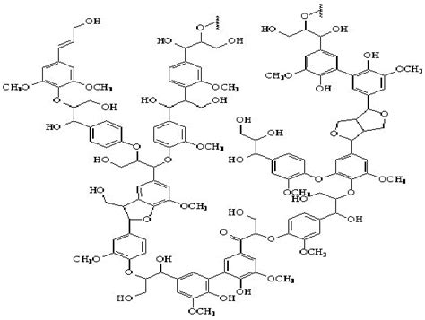 Structure Of Lignin 2011 Download Scientific Diagram