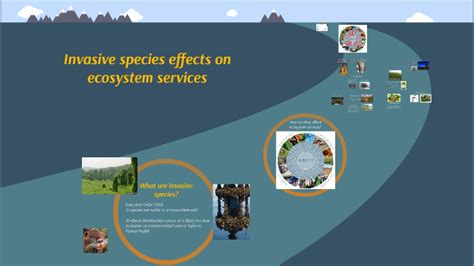 Invasive species effects on ecosystem services by cathy fahey on Prezi