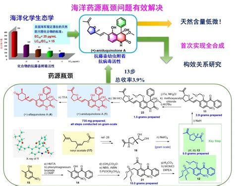 【邵长伦课题组】在抗病毒海洋天然产物全合成领域取得新进展