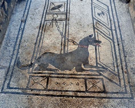 Cave Canem Mosaic Pompeii · See Pompeii