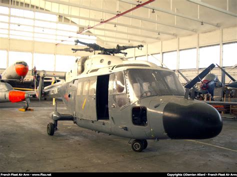 French Naval Aviation Wg 13 Lynx Fleet Flotte De Wg 13 Lynx De L