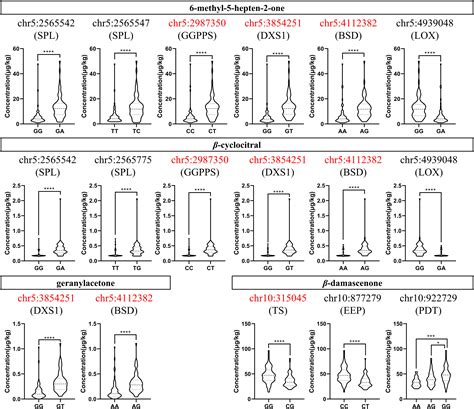 Frontiers Identification Of Snp Loci And Candidate Genes Genetically