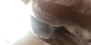 Fat Ass Ebony Twerking In Shower Tnaflix