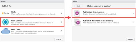 Posit Connect Documentation Version 2024 06 0 How To Publish An R