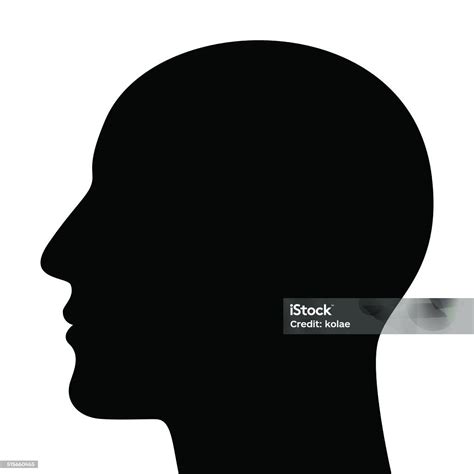 Head Profile Silhouette Vector