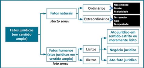 O Direito Da Vida