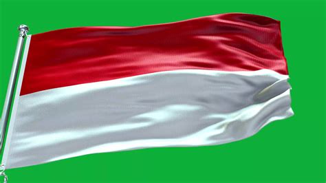 Indonesia National Flag 26567366 Stock Video at Vecteezy