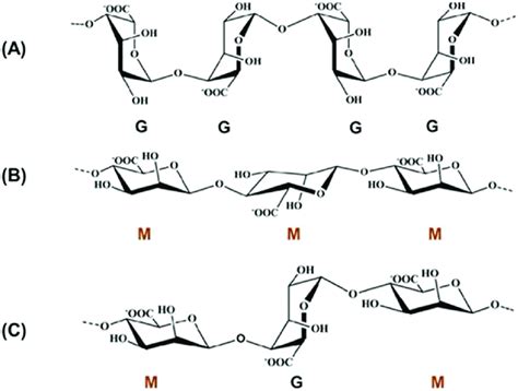 A Homopolymeric Blocks Of Poly α 14 L Guluronic Acid Gg B Download Scientific Diagram