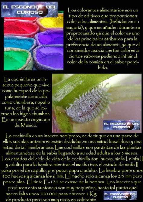 El Escondite Del Curioso Colorante E