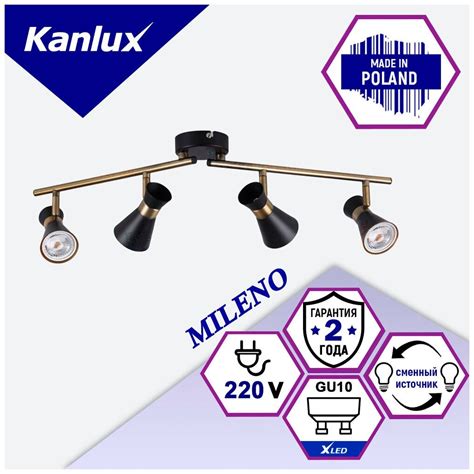 Споты потолочные черные KANLUX MILENO EL-2I B-AG 2xGU10 — купить в ...