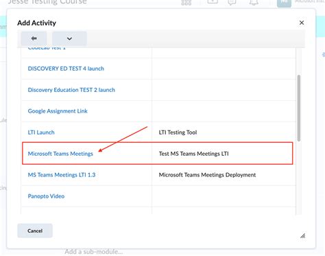 Use Microsoft Teams meetings in your LMS - Microsoft Support