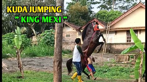 Latihan Kuda Jumping King Mexi Kuda Youtube