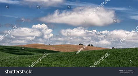 Palouse Landscape Stock Photo 533426869 | Shutterstock