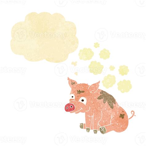 why is guinea pig smelly indoors 5