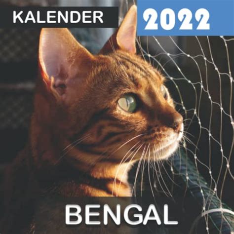 Bengal Kalender Geschenke F R Freunde Und Familie Mit Monaten