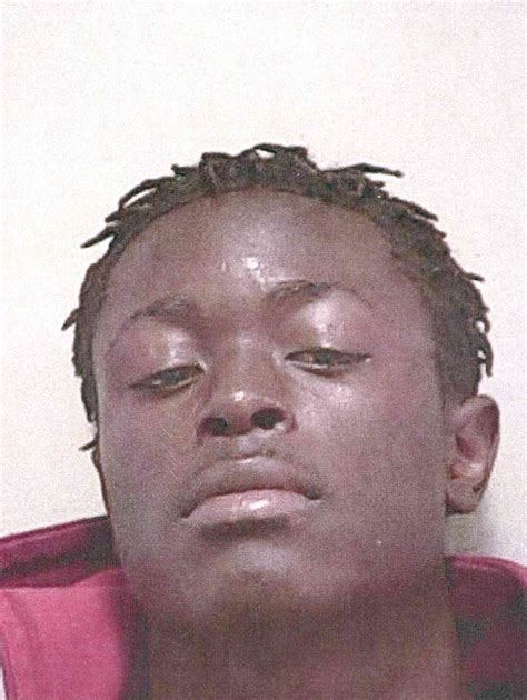 Recent Mugshots Ocala FL: Your Ultimate Guide To Marion County Arrest