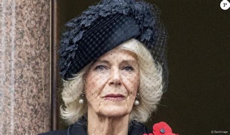 Camilla Parker Bowles Accus E De Racisme Son Geste Tr S Maladroit