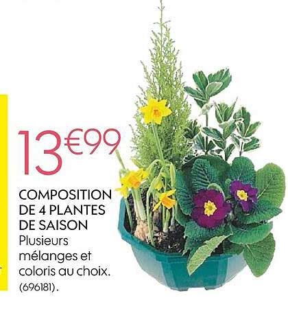 Promo Composition De 4 Plantes De Saison Chez Truffaut ICatalogue Fr