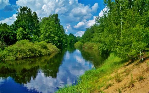 Free fotobanka krajina strom voda Příroda les louka jezero