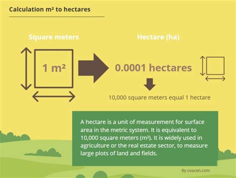 convert square meters  hectares calculate   ha