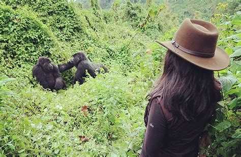 9 Tips for Eco-friendly Gorilla Trek | Traveller Notes