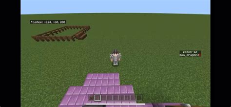 Custom Potion | making & potion : r/MinecraftCommands