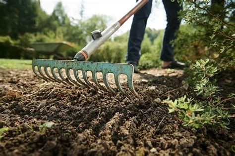 Essential Gardening Tools For Beginners Easier Harvesting