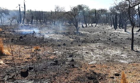 Alertan Que El Ndice De Riesgo De Incendios Est En Nivel Extremo