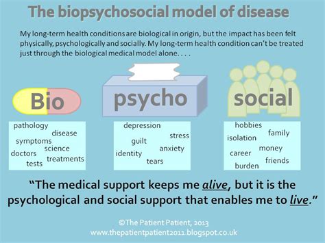 Biopsychosocial Model Of Health Diagram The Integrated Biops