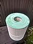Amazon Replacement Filter Cartridge For Watkins Hot Spring Hot Spot Series Tempo Rhythm