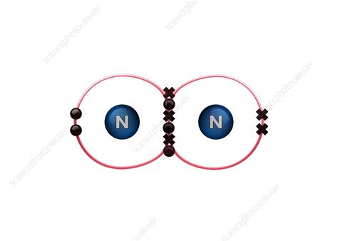 Bond formation in nitrogen molecule - Stock Image - C028/6485 - Science ...