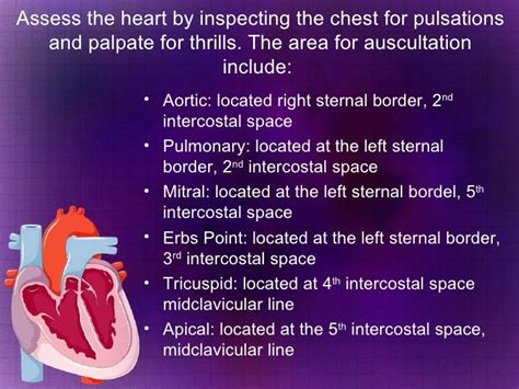 Assessment Of Cardiovascular Function