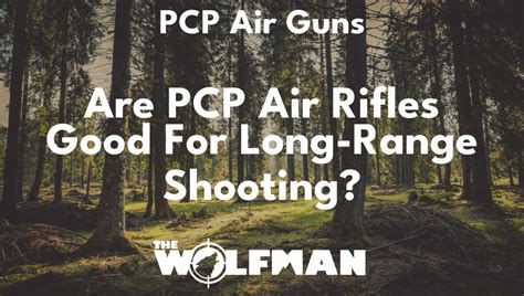 Are PCP air rifles good for long-range shooting? | The Wolfman