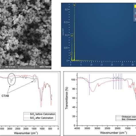 Synthesized Nanocomposites Based On Chitosan‐coated M‐sio2peg‐coated Download Scientific