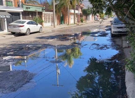 Denuncian Brotes De Aguas Negras En Jardines Del Sur